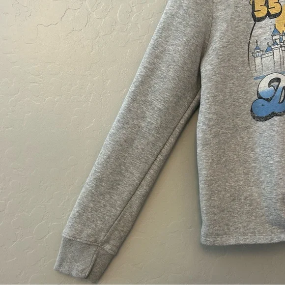 ⭐️Disney Parks Disneyland resort vintage look crop hooded sweatshirt size medium - Picture 7 of 16